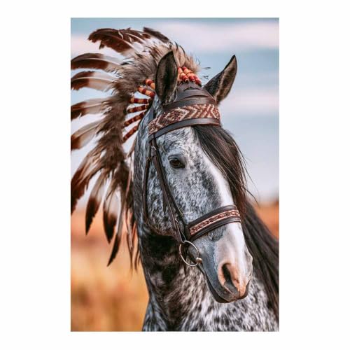 Photo déco salon grand tableau cheval sauvage plumes multicolores 80x120cm