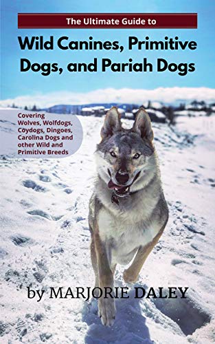 The Ultimate Guide to Wild Canines, Primitive Dogs, and Pariah Dogs: An Owner's Guide Book for Wolfdogs, Coydogs, and Other Hereditarily Wild Dog Breeds (English Edition)