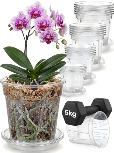 Root-Safe Clear Plant Pots for Indoor: Zero Transplant Shock for Orchids