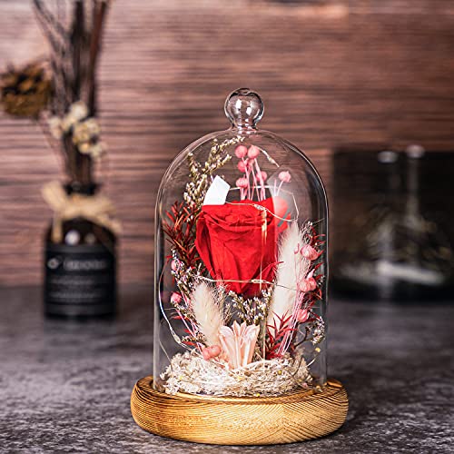 AOKKR Rosa Eterna, Flores Preservadas con Luz LED, Rosa Roja con Caja de Regalo en Cúpula de Vidrio con Una Cinta y Una Tarjeta de Deseos, Regalos Originales para Mujer de Aniversario para Madres Cover