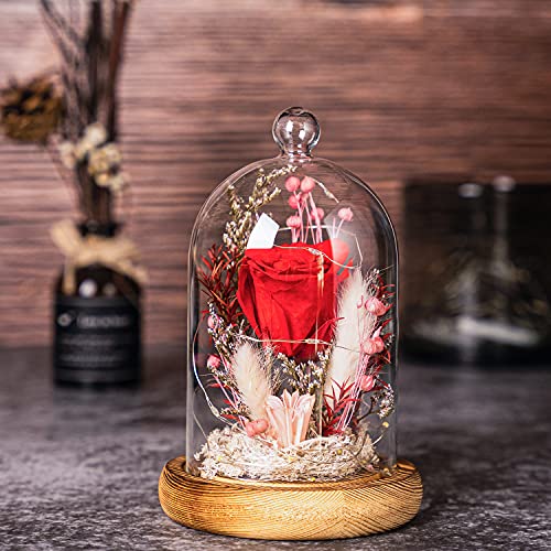 AOKKR Ewige Rose mit LED-Licht, Echte Rose mit Glaskuppel, Exquisiter Rosenbox, Konservierte Rose mit Stand und Geschenkbox, Muttertagsgeschenk, Weihnachten, Hochzeit, Valentinstag, Geburtstag