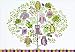 Owl Forest Note Cards (Stationery, Boxed Cards)