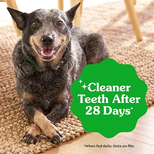 Greenies Large Natural Dental Dog Treats, Original Flavor, 4 Count - image 4