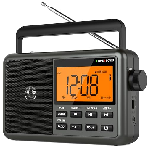 Digital AM FM Radio with portable design