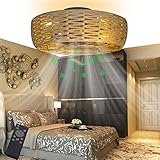 HANNAHONG 20" Bohe Caged leafless Ceiling Fan With Light and Remote,Low Profile Bedroom Ceiling Fans