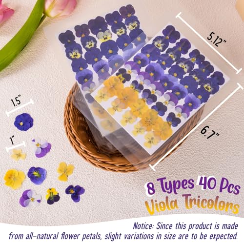 40 Pcs 8 Kinds Natural Dried Pressed Edible Flowers for Cake Topper Decorating - Mix Viola Tricolor for Cupcake Toppers, Cocktails, Resin Jewelry Making, DIY Art Crafts