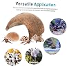 POPETPOP 1Set Coconut Shell Crab Hideout with Crab Shells Natural Aesthetic Turtle Rest Hut for Fish Tanks Reptile Habitats Durable Coconut Shell Shelter