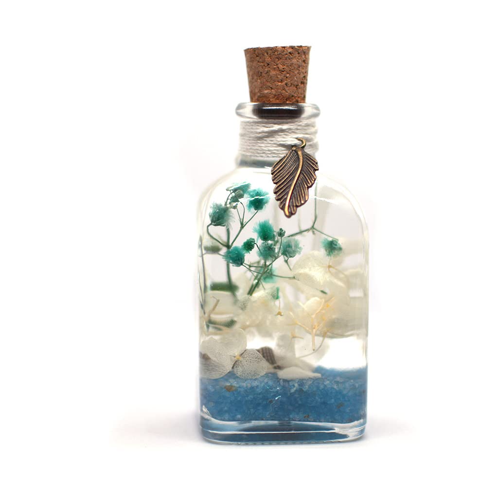 myBageecha- by The Bay Preserved Tabletop Natural Long Lasting Real Flower Home Interior Decor Desk Mini Garden Decoration Herbarium Eco-Friendly Gift Sea Shell Beach Sand Blue 10cm x 5cm