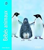 B'B's Animaux - Steve Bloom 