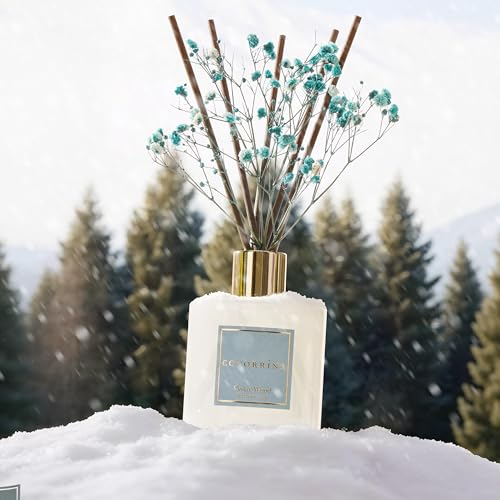 Image of COCORRINA Reed Diffuser - Cedar Wood 6.7 fl oz Reed Diffuser with Sticks, Home Bedrrom Bathroom Shelf Decor