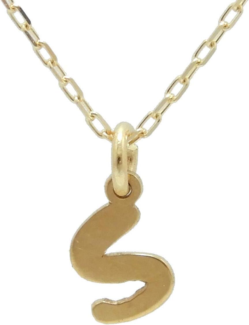 イニシャル s コイン (99) 사진