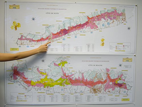 VERSAINSECT t - Cote de Nuits and Cote de Beaune (2 maps) (Pinpoint the greatest wines of Burgundy)