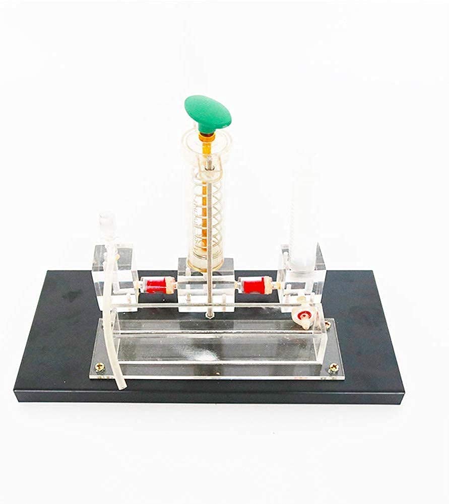 Modelo de Ciencia educativa Experimento de física Instrumento de enseñanza Equipo Experimental Modelo de transmisión Prensa,