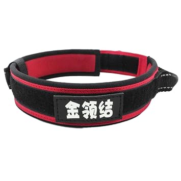 Meri Shopp Adjustbale Dog Collar Oxford Cloth Pet Collar with Handle Neck Strap Red L