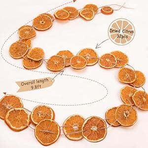 Dried Orange Slice Christmas Garland - 10 ft Realistic Farmhouse Decor for Mantle, Front Door, Porch, Fireplace, Christmas Tree, Home, Indoor Dried Orange Slice Christmas Garland 10 ft Realistic Farmhouse Decor for Mantle Front Door Porch Fireplace Christmas Tree Home Indoor