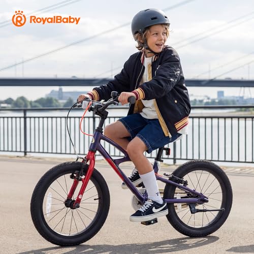 Image of RoyalBaby Kids Bike Lightweight Magnesium Alloy, 14 16 18 Inch Children's Bicycle for Boys Girls Ages 3-9