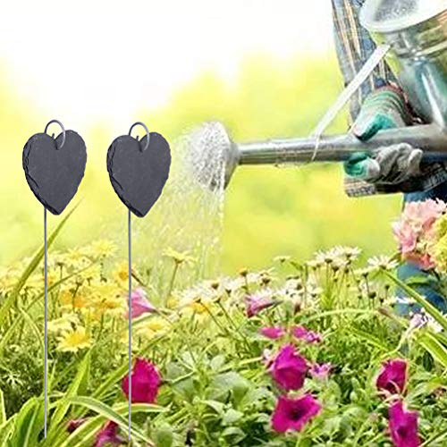 Yardwe 6pcs Etiquetas Florales de jardinería Etiquetas de Plantas ...