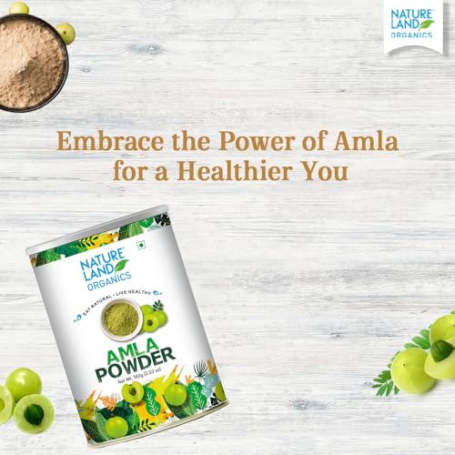 Image of Natureland Organics Amla Powder 100gm - Organic Healthy Powder (Pack of 3)