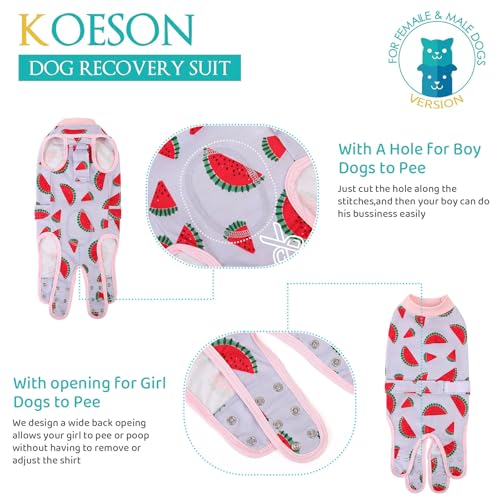 Image of KOESON Lightweight & Soft Surgery Recovery Suit for Large Dogs Female Male