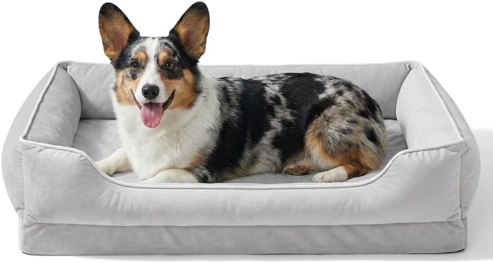 FAIRYPET Orthopedic Dog Bed for Medium to Large Dogs & Cats, Memory Foam Dog Bed with Washable Removable Cover, Top-Grade Dutch Velvet Fabric Pet Sofa Couch for Crate with Nonskid Bottom, Silver