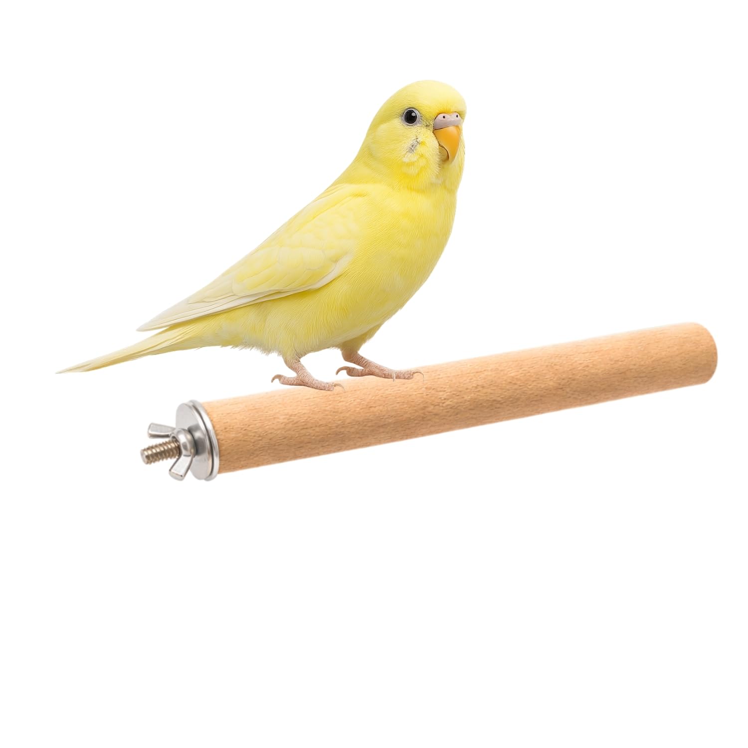 Sage Square Neem Wood Bird Perch 12 inch Combo Natural Wooden | Budgie, Cockatiel, Lovebirds Parrots Finches Cage Perch | Textured Grip Foot Rest | Avian Habitat Comfort Exercise Stick (Pack of 2)-image-38