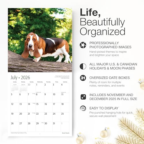 Image of RED EMBER Basset Hounds 2026 Wall Calendar 12 Month | 12 inch x 24 inch Open | Thick & Sturdy Paper | Holiday Gift | Cute Puppy Dog Calendar 2026