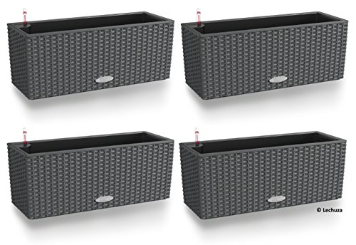 Lechuza Balconera Cottage 50, All-in-One Set, Granit, 4er-Set