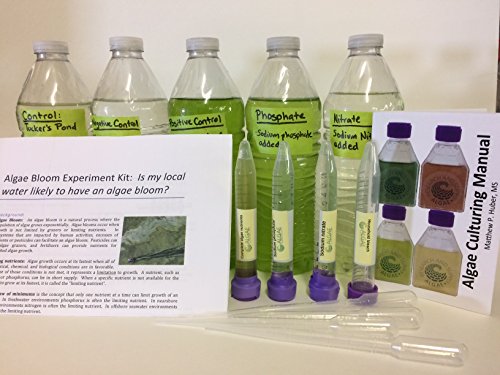Algae Research Supply Algae Bloom Experiment Kit is My Local Water Likely to Have an Algae Bloom?