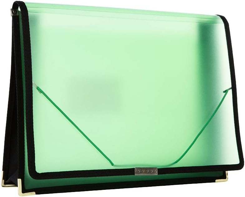 Filexec Single Pocket Expanding File, Letter, Elastic Closure, Assorted, Pack of 6 (50125-3429)