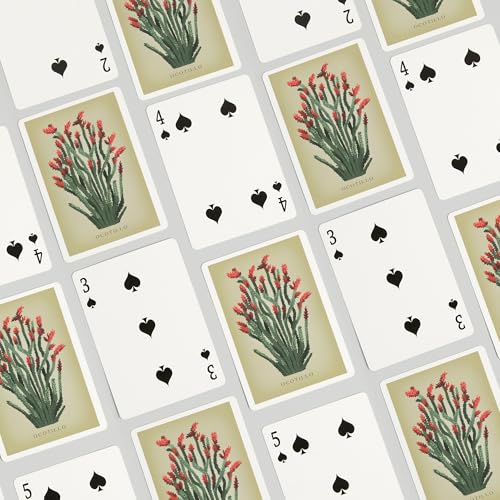 Lantern Press Ocotillo, 52 cartas tamaño póker miniatura 4
