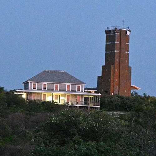 Here's How We'll Do It Podcast Por Shoals Marine Laboratory arte de portada