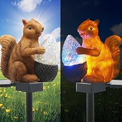 Solar Squirrel Lights