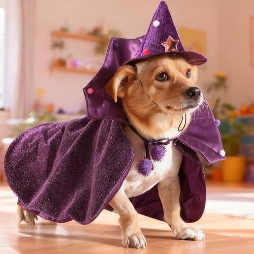 Disfraz de Bruja para Perros y Gatos Halloween con Capa y Sombrero miniatura 7
