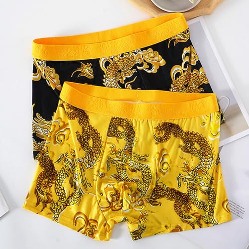Year of Dragon Men Underwear Chinese Zodiac Pattern Boxer Briefs2