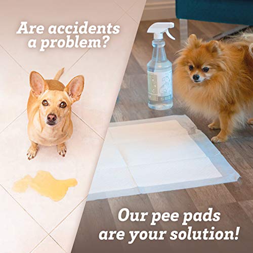 Puppy Pads Dog Pee Pad for Potty Training Dogs & Cats 22 x 22"- 100-Count Large - Thumbnail 3