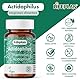 Lifeplan L. acidophilus & rhamnosus 50 Caps