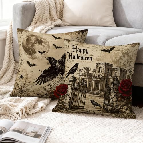 Housse de coussin déhoussable et lavable 55x55 cm pour protéger vos canapés et chaises