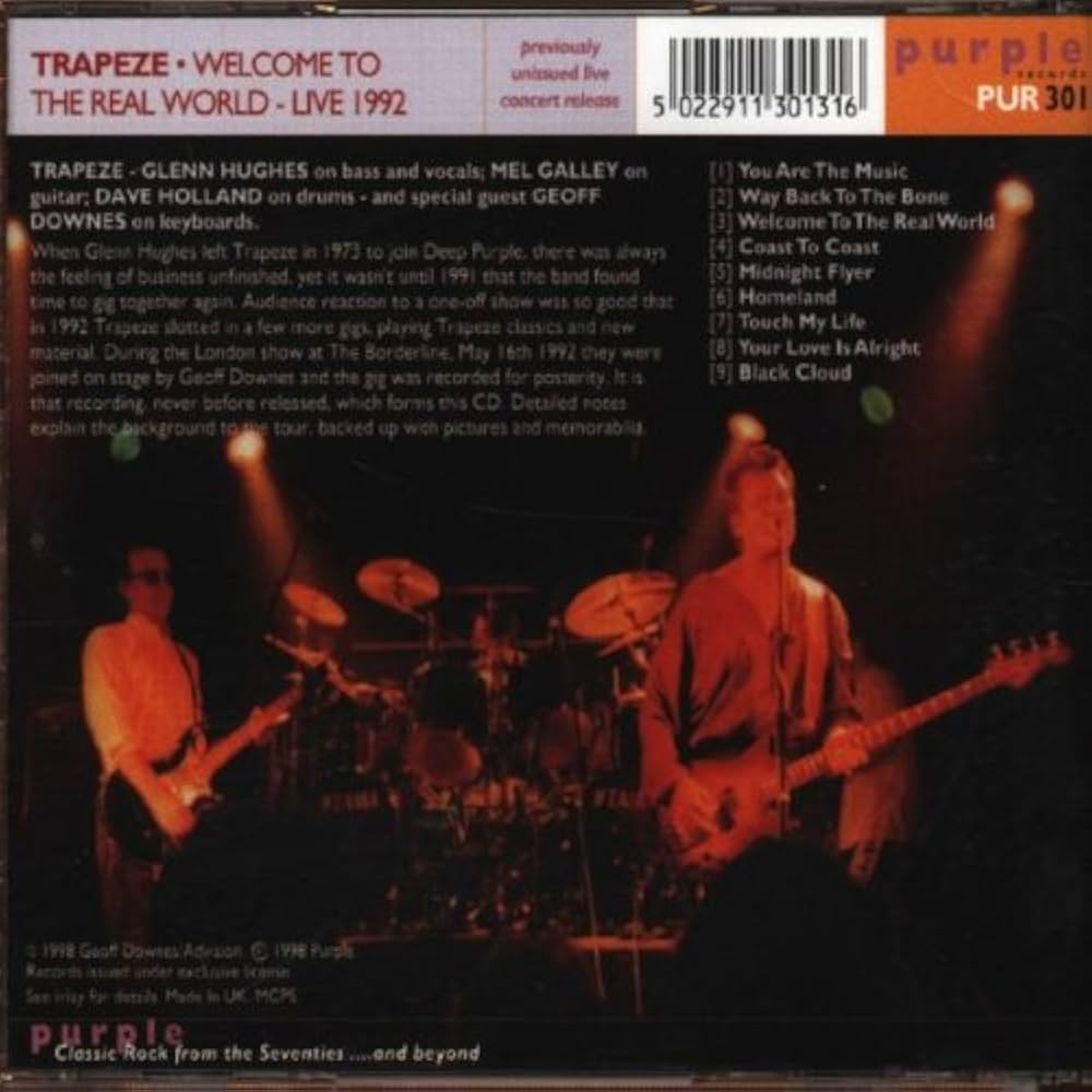 洋楽 98 KINGZ /THE WORLD WE KNOW FRANK SINATRA 