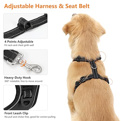 Harnais ceinture de sécurité pour chien ajustable grand animal noir L