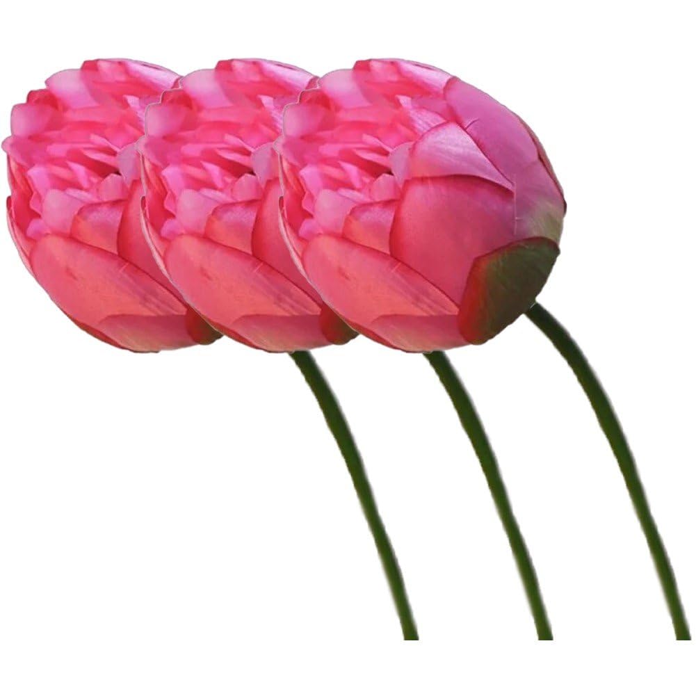 Bouquet de nénuphar artificiel 3 pièces pour composition florale et décoration table maison