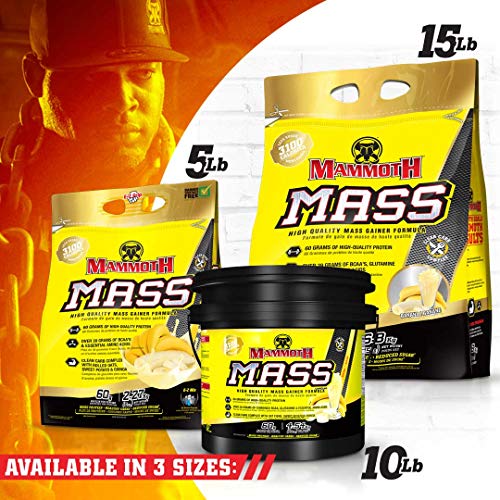 Interactive Nutrition Mammoth Mass Supplement, 5 lbs, Banana, 2.2kg Banana - Thumbnail 5