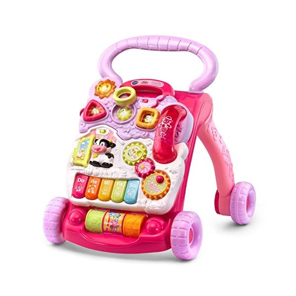 VTech Sit-to-Stand Learning Walker 
