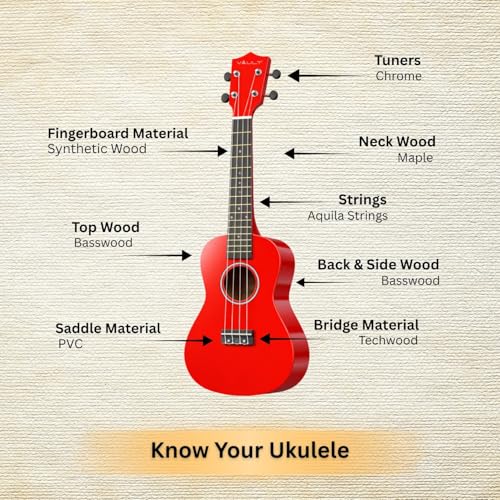 Image of Vault UK-003 Concert Colourful Ukulele 23 inch With Gig Bag - Red