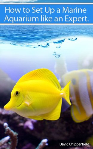 How to Set Up A Marine Aquarium Like an Expert. (Aquarium and Turtle Mastery Book 1)