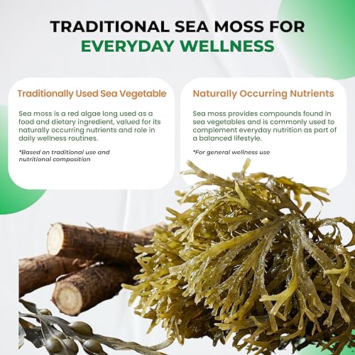 Ultra Herbs Sea Moss Capsules with Bladderwrack & Burdock (150 Count) — view 5