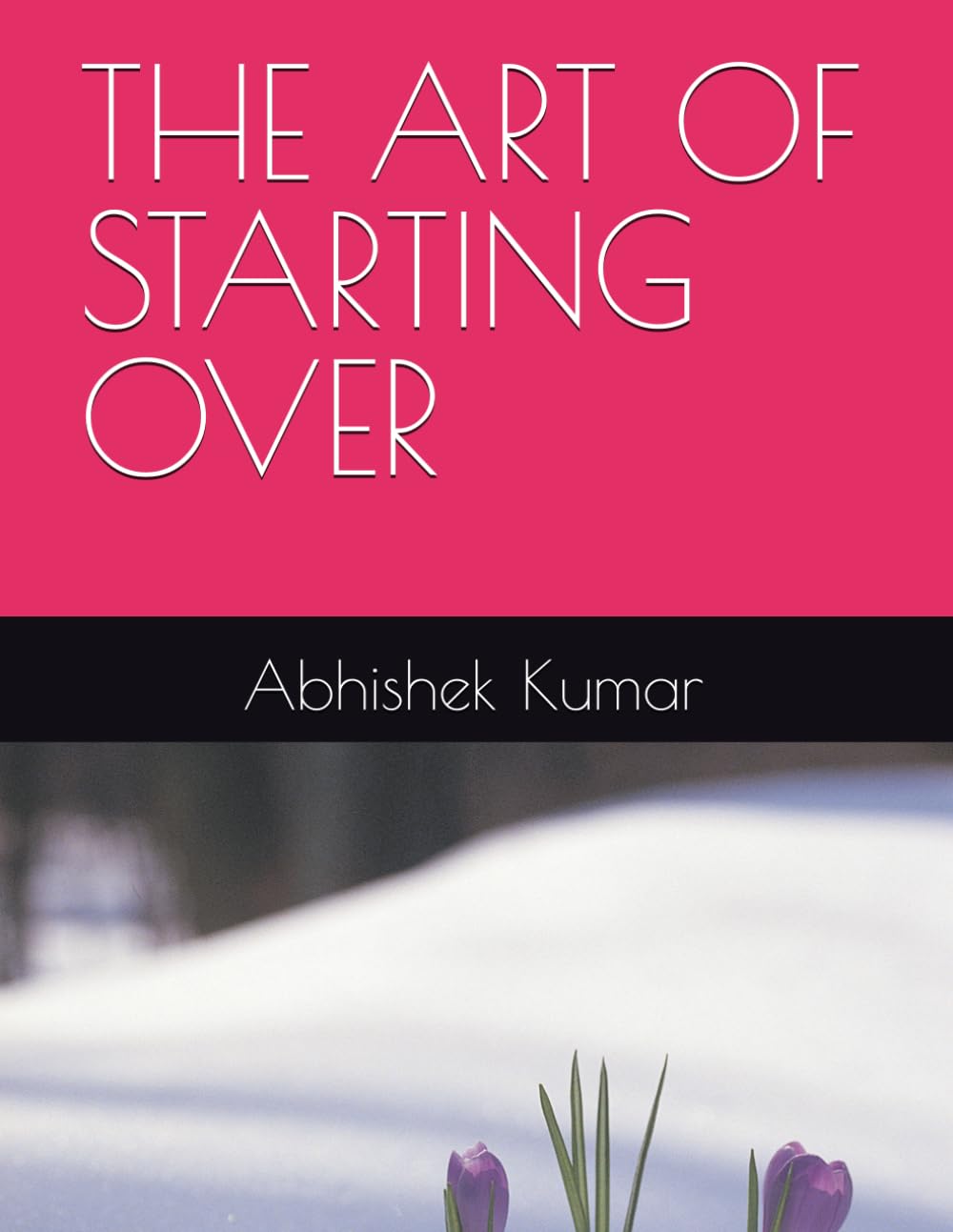 THE ART OF STARTING OVER