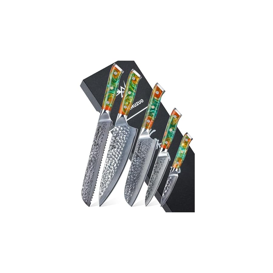 SANMUZUO Kitchen Cooking Knife Set - 5 Pieces Chef Knives- Forged Damascus Steel & Resin Handle - Yao Series
