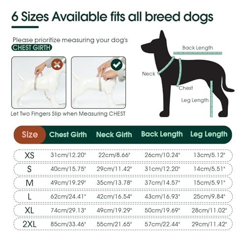 Image of Kuoser Dog Surgical Suit for Rear Legs, Female Spay Recovery Suit for Dogs After Surgery, Doggie Rear Leg Sleeve to Stop Licking, Puppy Onesie for Abdomen Wounds Skin Disease,Substitute E-Collar