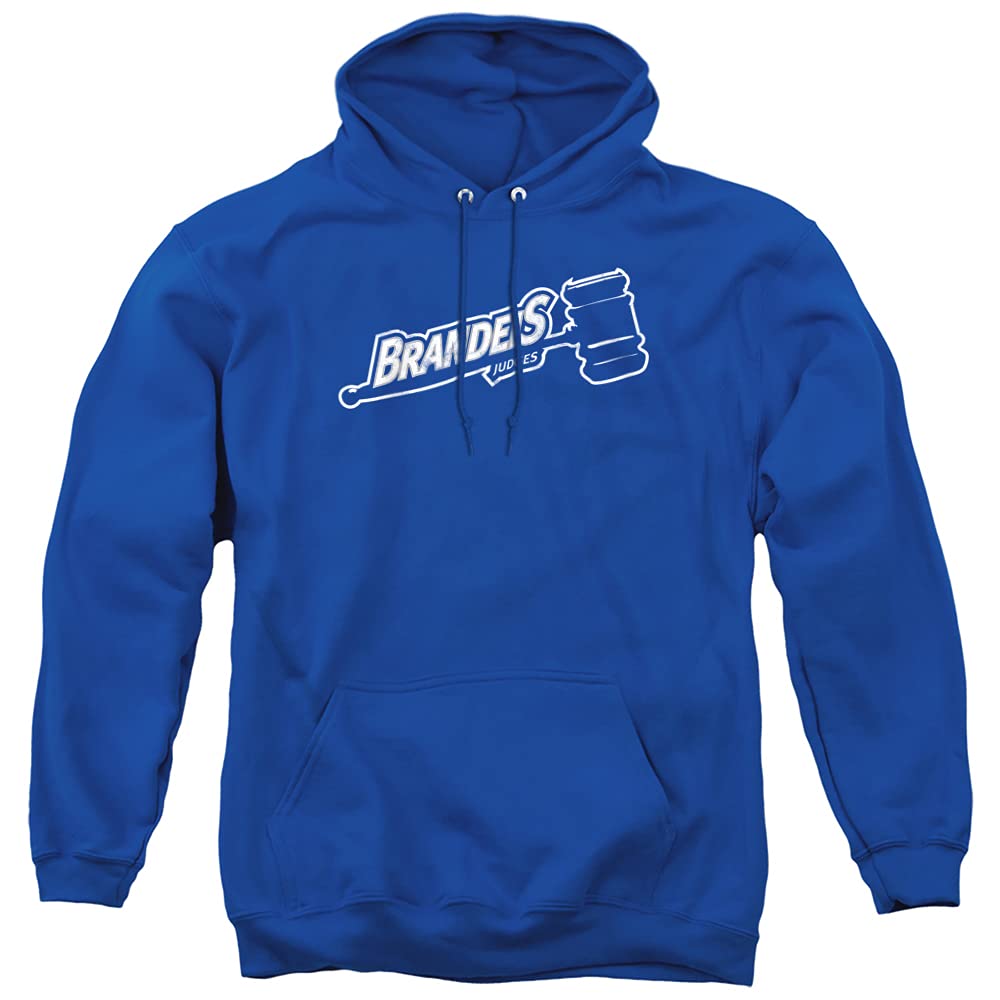 LOGOVISION Official Collegiate Distressed Primary Logo Adult Pullover Hoodie Collection — view 429