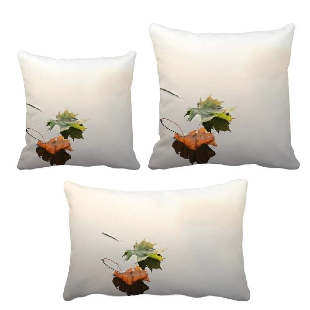 Housse de coussin motif feuilles tombées d'eau taie décoration canapé salon